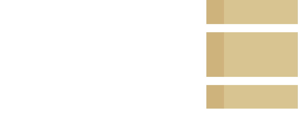 Inter-Strap Packaging Systems